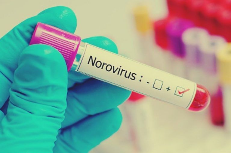 2 Lower Primary Students Test Positive for Norovirus in Kerala's Vizhinjam; Health Minister says    No Need for Concern
